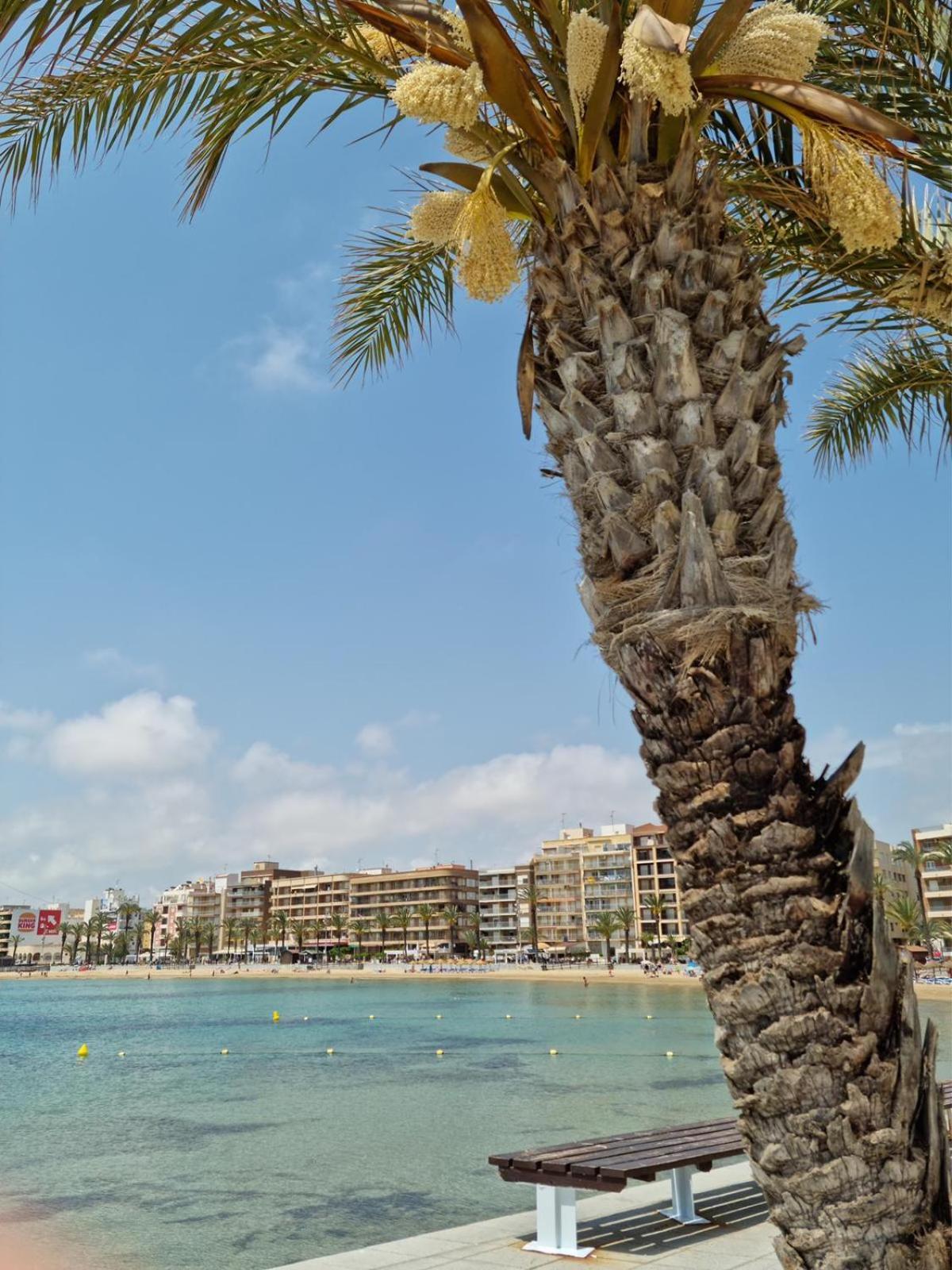 Apartamentos Palangres Torrevieja Exteriér fotografie